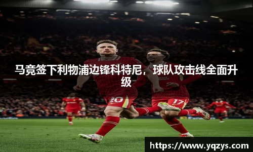 万博max体育官网