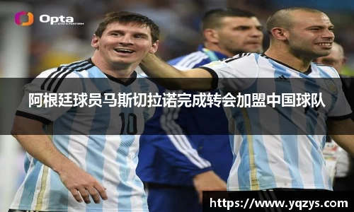 万博max体育官网